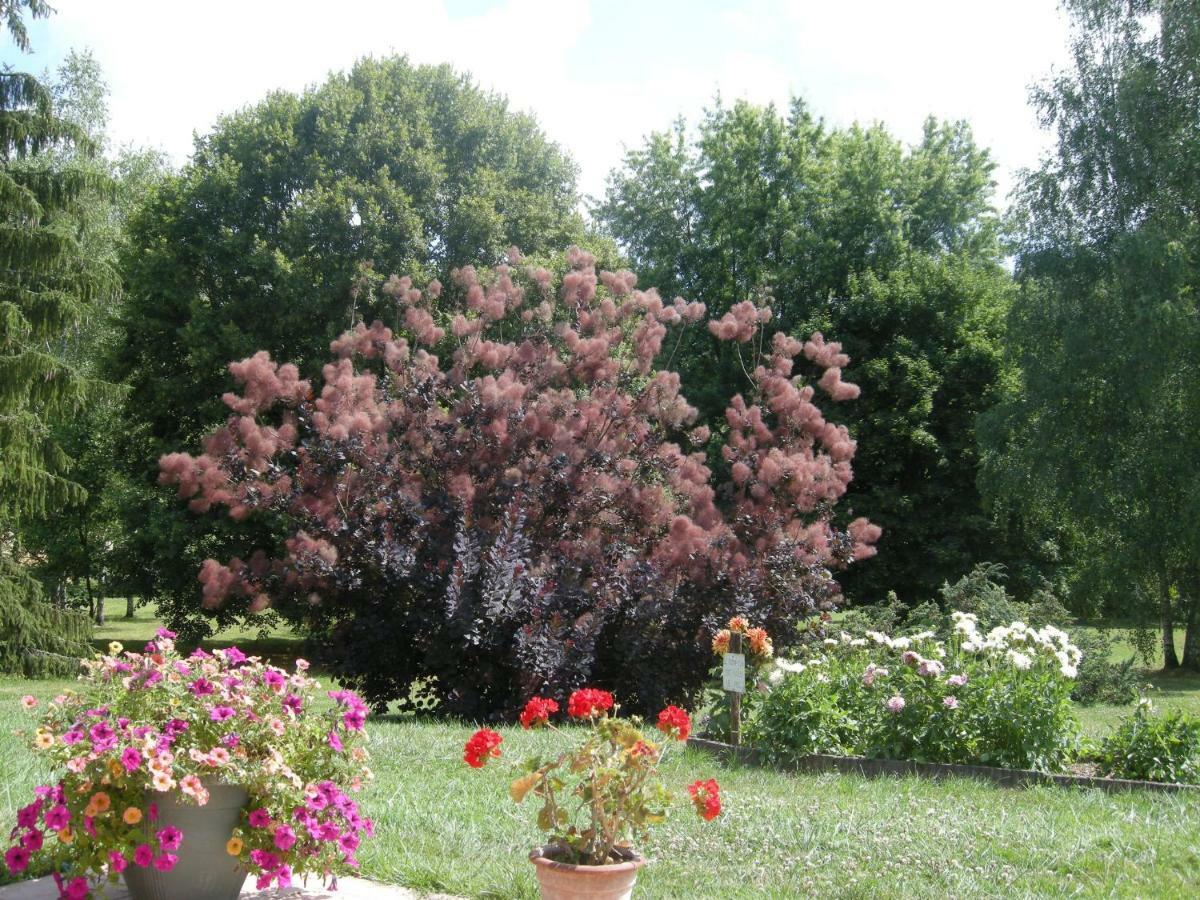 Le Grand Pre Bed & Breakfast Daillancourt Exterior foto